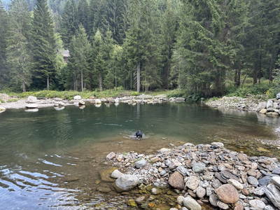 Bild 40 aus  Almhaus Sparwald