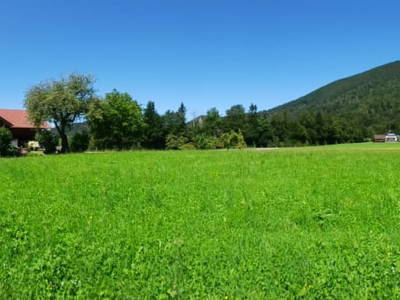 Bild 48 aus  Bio-Bauernhof Vordergschwandtgut