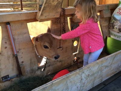 Bild 31 aus  Ferienbauernhof Kohler