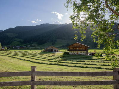 Bild 8 aus Astlhof