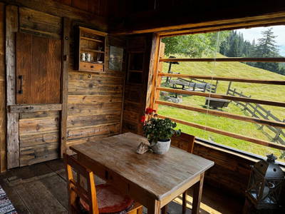 Bild 75 aus  Almhütte Bodner-Kammer