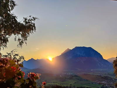 Bild 74 aus  Biobauernhof Thonnerhof