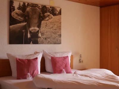 Bild 244 aus  Familienbauernhof Bereuter