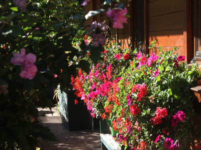 Bild 32 aus  Dichtlhof