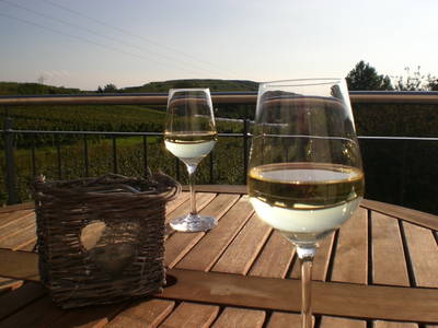 Bild 22 aus  Maienbrunnenhof