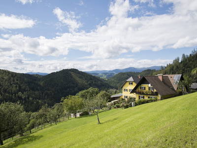 Bild 2 aus  Reichkriegl