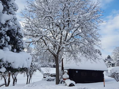 Bild 54 aus  Ferienhof Leopold in der Grub