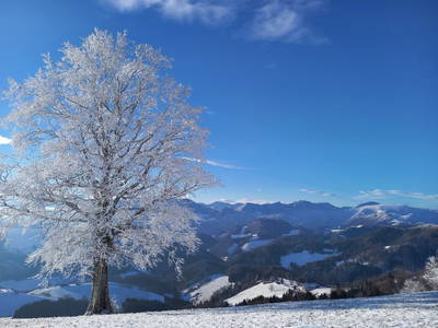 Bild 14 aus  Ferienhof Schneiderweg