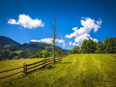 Bild 99 aus  Zauchtalerhof
