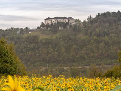 Bild 139 aus  Landhaus Sofie