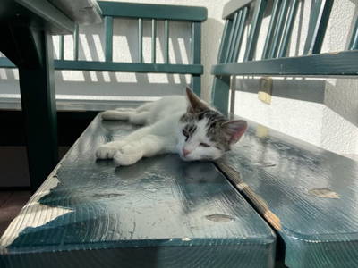 Bild 38 aus  Kürbishof 