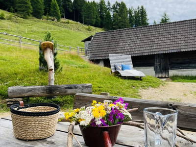 Bild 6 aus  Götzfried Almhütte