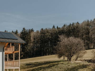 Bild 76 aus  Hofstatt Salzburg Ferienwohnung