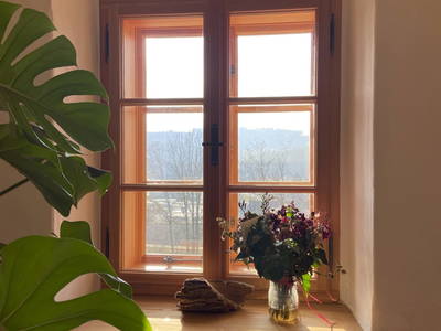 Bild 66 aus  Trattnachtaler Weinhaus