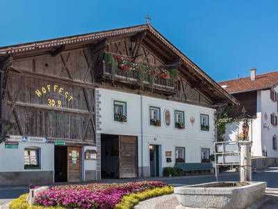 Bild 2 aus  Biobauernhof Mesneranderl