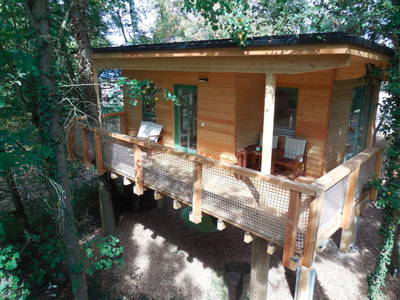 Bild 3 aus  Mainbaumhaus