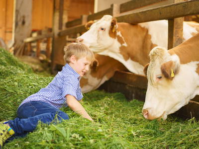 Bild 13 aus  Ablingerhof