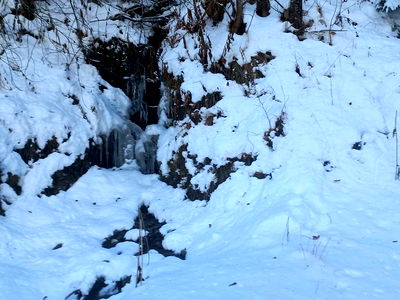 Bild 55 aus Berghütte Reissnerhof