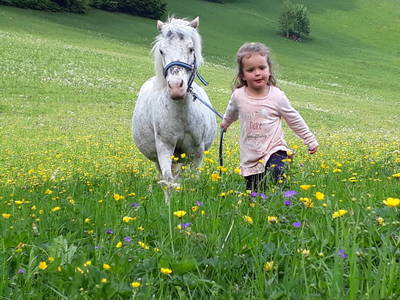 Bild 16 aus  Landhaus Juritsch