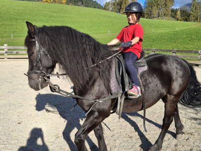 Bild 72 aus  Pferdehof Oberegg