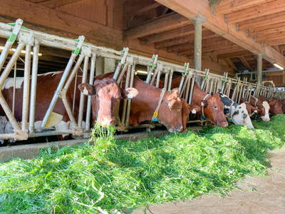 Bild 77 aus  Biohof Herzoghof