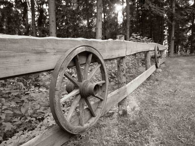 Bild 84 aus  Biohof Obereibensteiner