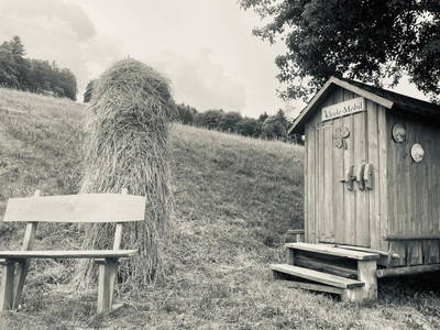 Bild 10 aus  Kleelehof