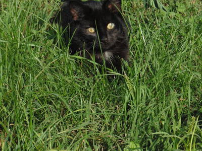 Bild 17 aus  Schmankerl und Gast Heiderer