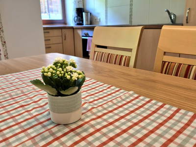 Bild 16 aus Waldhof