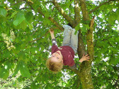 Bild 21 aus  Sternenhof