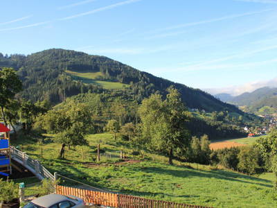 Bild 43 aus  Panorama Hof Fa. Sereinig