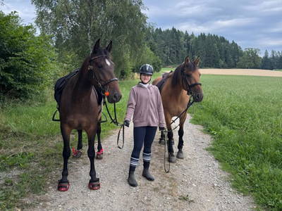 Bild 90 aus  Matlhof