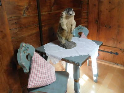 Bild 8 aus  Biberle Hof