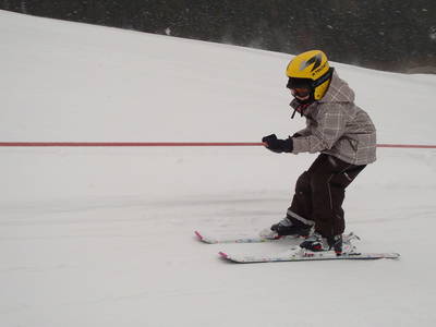 Bild 50 aus  Michlbauer