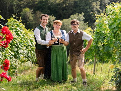 Bild 3 aus  Weingut Koller