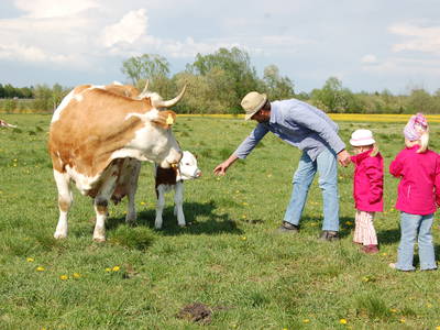 Bild 6 aus  BiolandHof Röttenbacher