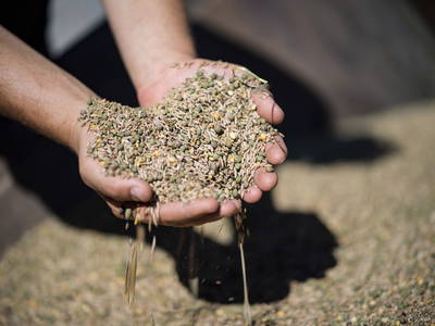 Bild 15 aus  Großrachlhof