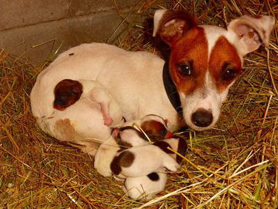 Bild 46 aus  Hof Grüneberg