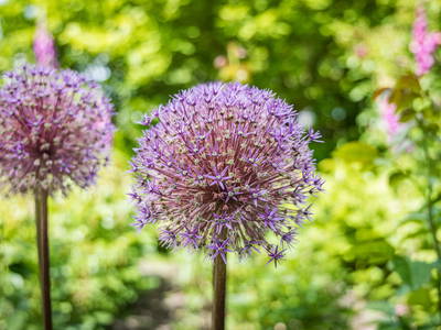 Foto von Oberpfälzer Wald