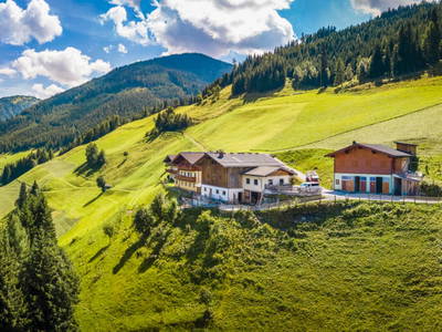 Bild 89 aus  Neuhaus