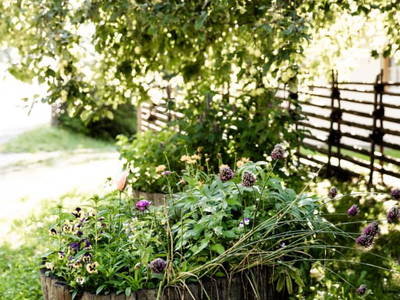 Bild 159 aus  Miniponyhof Wild