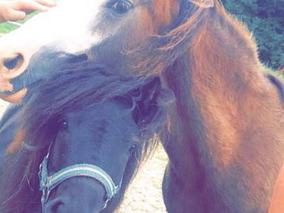 Bild 14 aus  Gasthof Hochserner-Hof