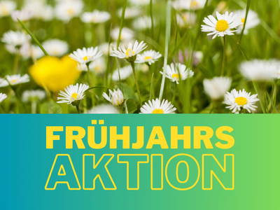 Bild 177 aus Panoramahof Eggele
