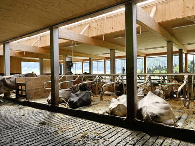 Bild 60 aus  Ferienhof Landerleben