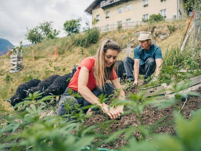 Bild 13 aus  Hepi Lodge