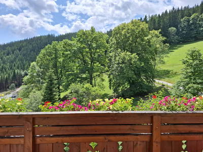 Bild 72 aus  Hanslgrabner