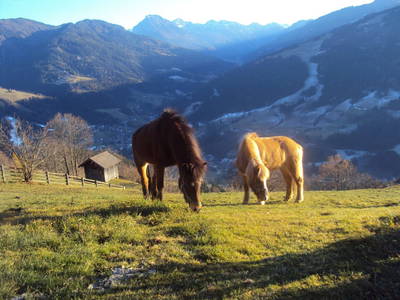 Bild 51 aus  Oberegghof