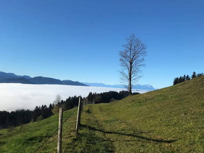 Bild 76 aus  Ferienbauernhof Schneider