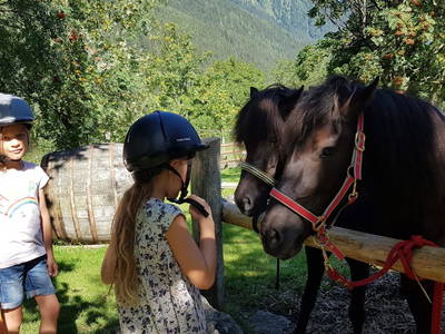 Bild 215 aus  Der Perweinhof