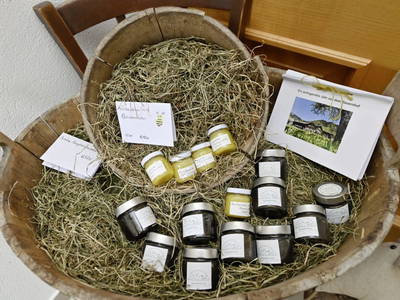 Bild 209 aus Haus Albrecht
